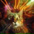 mr.RAVE