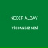 Necip Albay
