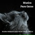 Relax My Kitten, Cat Music Dreams, RelaxMyCat