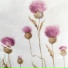 runo plum