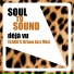 Soul to Sound