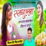 Veer Singh Banota