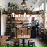 Flavie Fayae