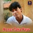 Bidyut Roy