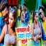 Avinash Bihari