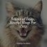 Jazz Music Therapy for Cats, Cat Music Experience