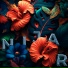 Nijar