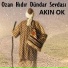 Akın Ok