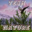 TESH