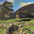 Traditional Airs For The Celtic Harp And Fiddle