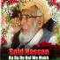 Said Hassan