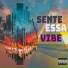 Radia Mob, Mc Ryke ZN