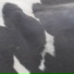 Bertholet, Milk Tape