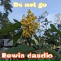 Rewin Daudio