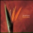 Ananda Project, Terrance Downs