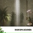 Relajacion, Rain Sounds ACE, Amazing Spa Music