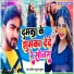 Ankit Kumar Krishna