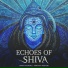 Purva Mantri, Shravan Mantri