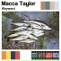 Macca Taylor