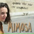 Mimosa