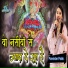 Parvinder Palak