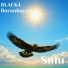 BLACK4, Boranbayev