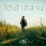 ต าร ตจว.