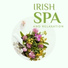 Celtic Chillout Relaxation Academy