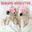 Musicoterapia Animales Academy
