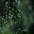 Relajación, Sound of Rain, Natureza