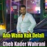 Cheb Kader Wahrani