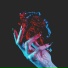 NXVXRMXSS