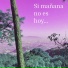 VÍCTOR CARDONA 光