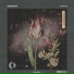 Epigenesis, Disruptive LoFi