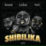 Lord Script feat. Okmalumkoolkat, MusiholiQ