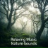 Sleep Music Oasis
