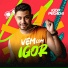 Igor Pegada