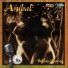 Anibal