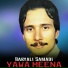 Baryali Samadi