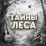 Сергей Грищук