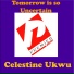 Celestine Ukwu