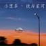 小里多