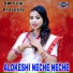 Piu Sarkar
