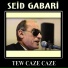 Seid Gabari
