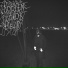 Rotten and DeaD