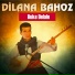 Dilana Bahoz