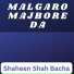 Shaheen Shah Bacha