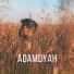 Adamsyah