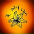 The Ditch Lilies