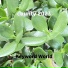 Keyword World